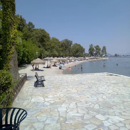 Palataki *