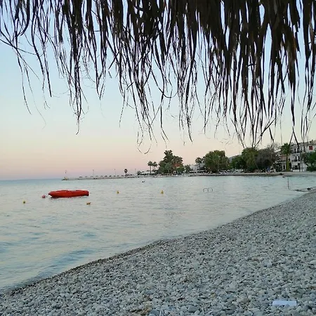 Palataki