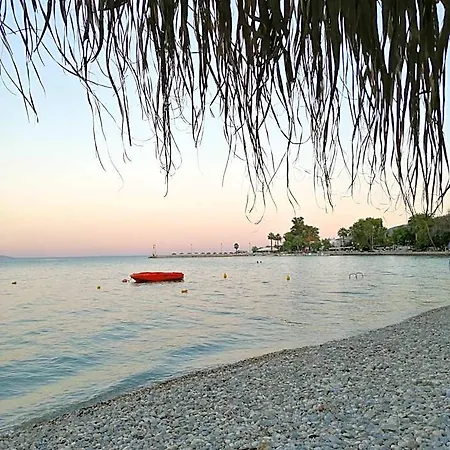 Palataki * Míloi