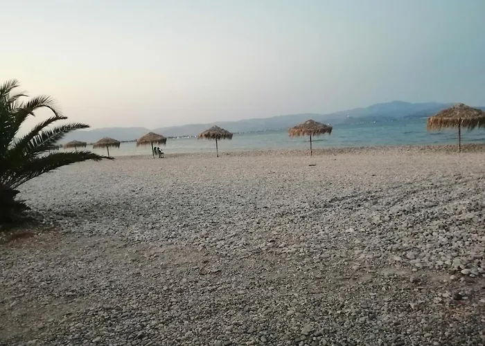 Palataki Daire *